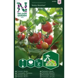Frø busktomat Baby Boomer