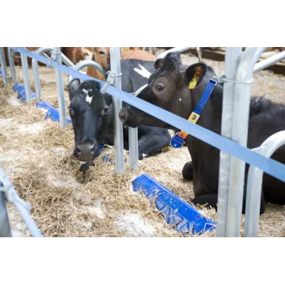 Liggebås CC1800, bilde 2