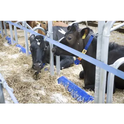 Liggebås CC1800, bilde 2