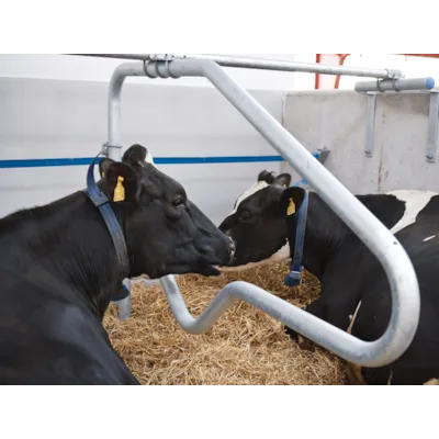 Liggebås CC1800, bilde 3