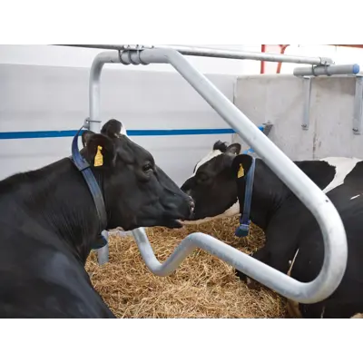 Liggebås CC1800, bilde 3