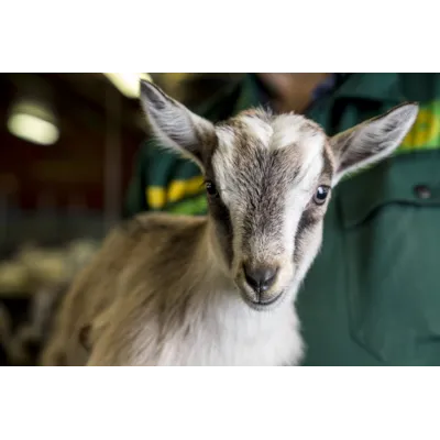 Drøv Start, bilde 4