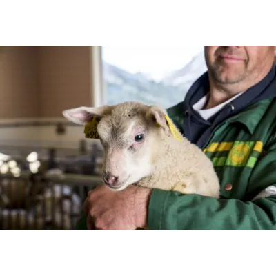 Drøv Start, bilde 3