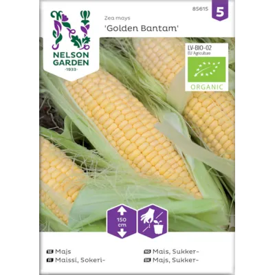 Frø sukkermais Golden Bantam økologisk