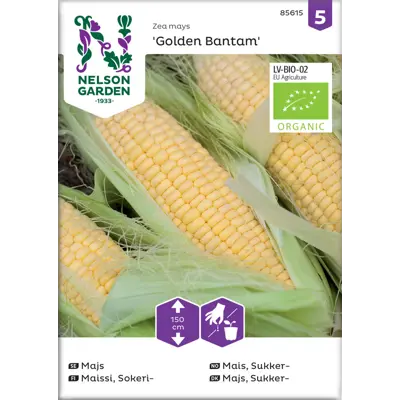 Frø sukkermais Golden Bantam økologisk