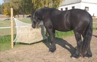 Høynett firkantet 160x100 cm, bilde 3