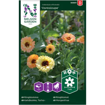 Frø ringblomst Cantaloupe