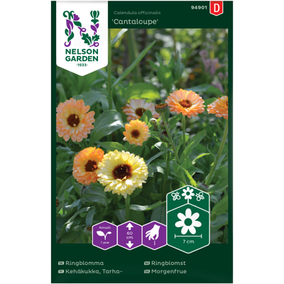 Frø ringblomst Cantaloupe