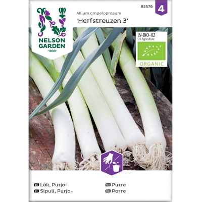 Frø purre Herfstreuzen 3 økologisk