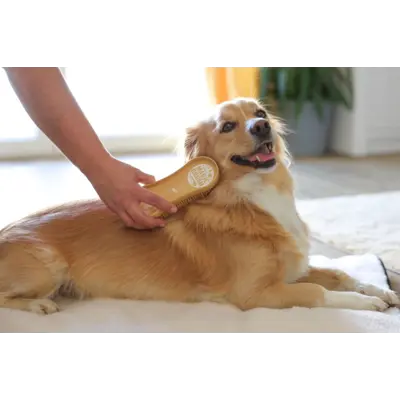 Børste beige, bilde 2