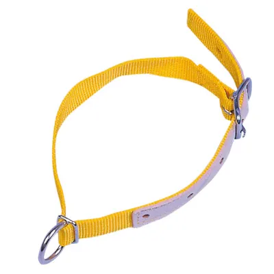 Halsbånd for sau 60 cm