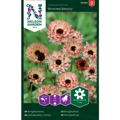 Frø ringblomst Bronzed Beauty