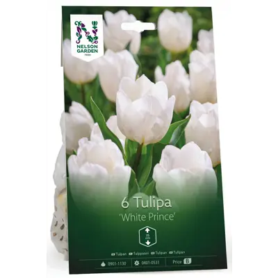 Høstløk tulipan White Prince