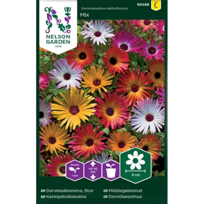 Frø middagsblomst Mix