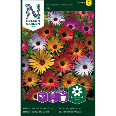 Frø middagsblomst Mix