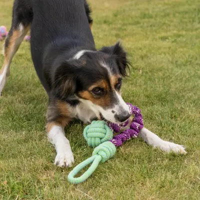 Hundeleke tau med strikk, bilde 2