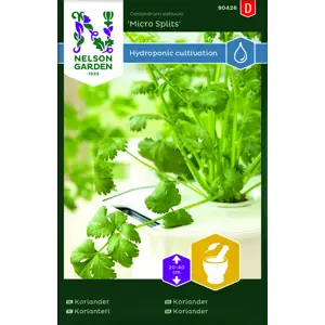 Frø koriander Micro Splits Harvy