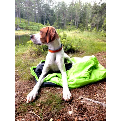 Hvilepose Hi svart, bilde 7