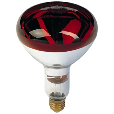 Varmepære 250W 10 stk