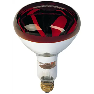 Varmepære 250W 10 stk