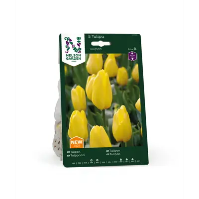 Høstløk tulipan gul