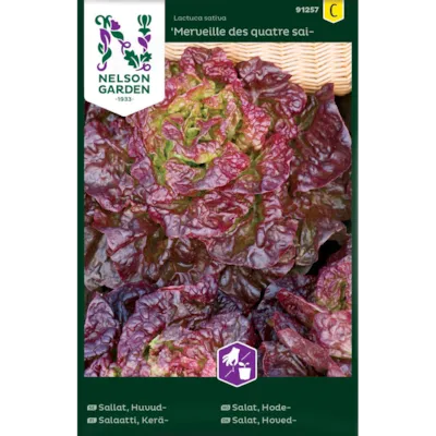 Frø hodesalat Merveille Des Quatre Saiso