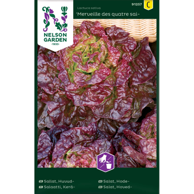 Frø hodesalat Merveille Des Quatre Saiso