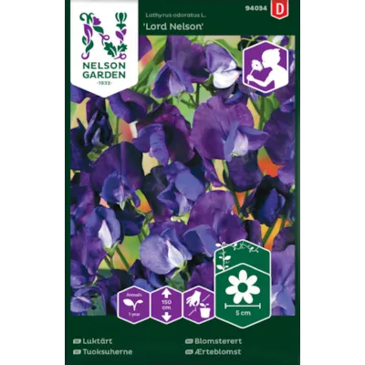 Frø blomsterert Lord Nelson, bilde 2