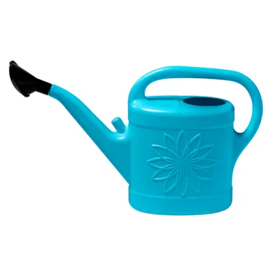 Vannkanne turkis 10 L