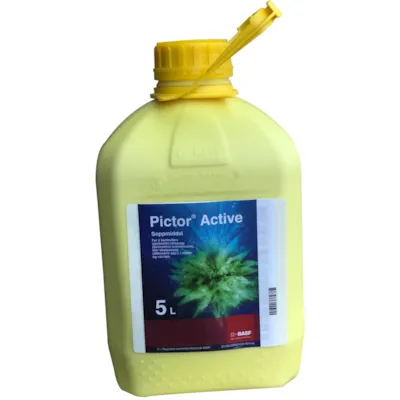 Pictor Active 5 L