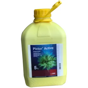 Pictor Active 5 L