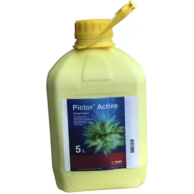 Pictor Active 5 L
