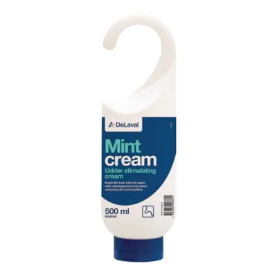 Salve Mint Cream 500 ml