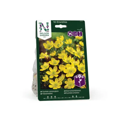 Høstløk storvinterblomst