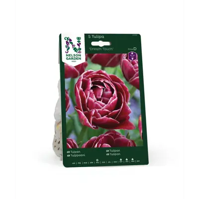 Høstløk tulipan Dream Touch