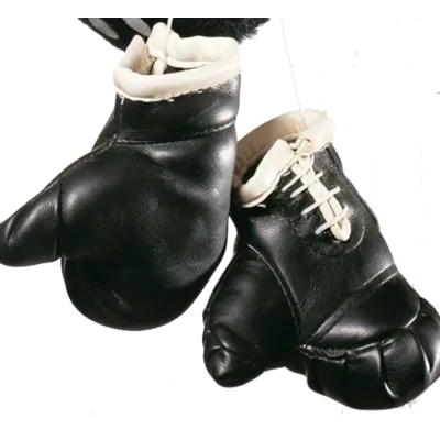 Mini boksehansker til bilen