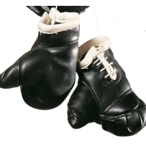 Mini boksehansker til bilen
