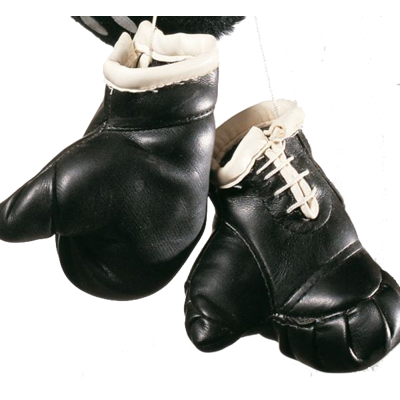 Mini boksehansker til bilen