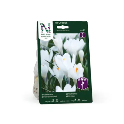 Høstløk vårkrokus Jeanne dArc