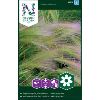 Frø prydgress, bilde 2