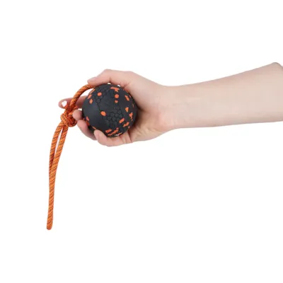 Hundeleke ball på tau D70 mm, bilde 3