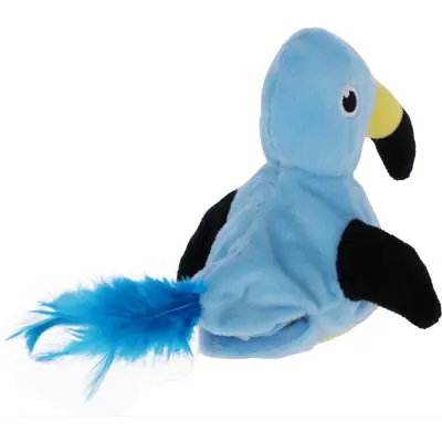 Katteleke fugl, bilde 2