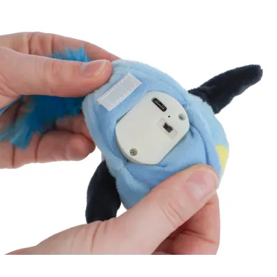 Katteleke fugl, bilde 4