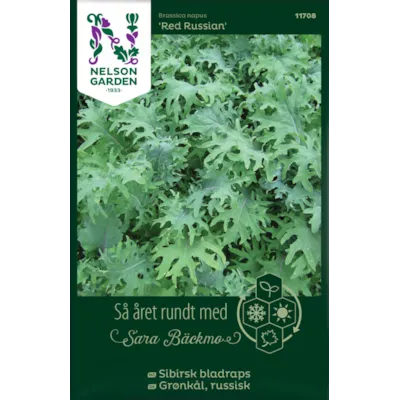 Frø sibirsk bladrasp Red Russian