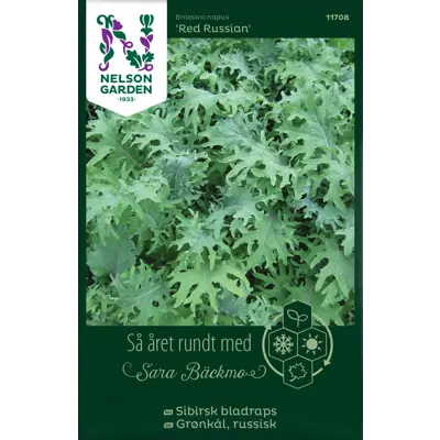 Frø sibirsk bladrasp Red Russian