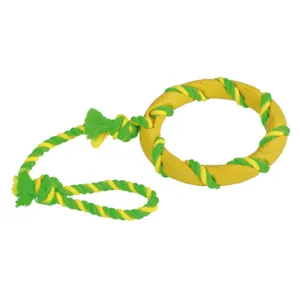 Hundeleke ring i tau