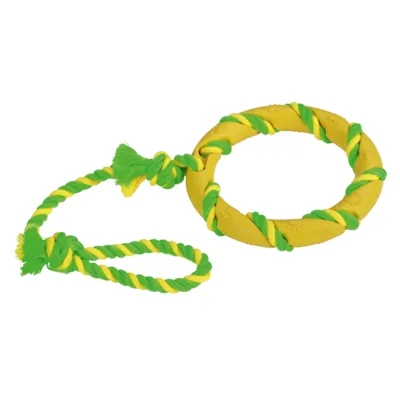 Hundeleke ring i tau