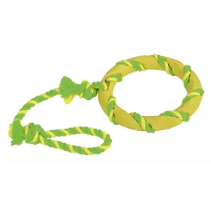 Hundeleke ring i tau