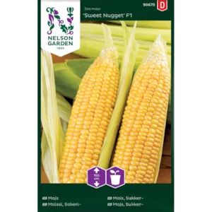 Frø mais Sweet Nugget