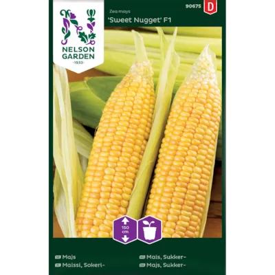 Frø mais Sweet Nugget
